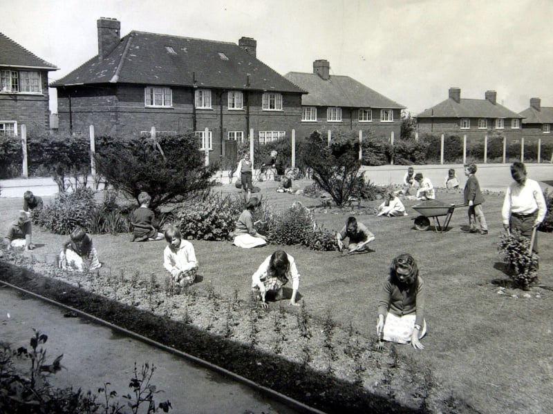Pupils tend to the garden at Windmill Primary School, in Belle Isle, Leeds, in 1968
