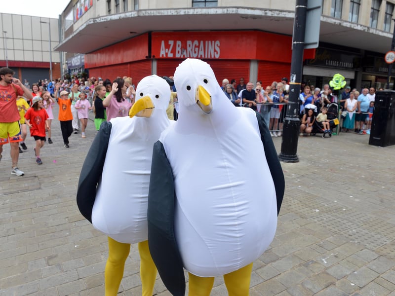 There were two particularly large seagulls at the parade.