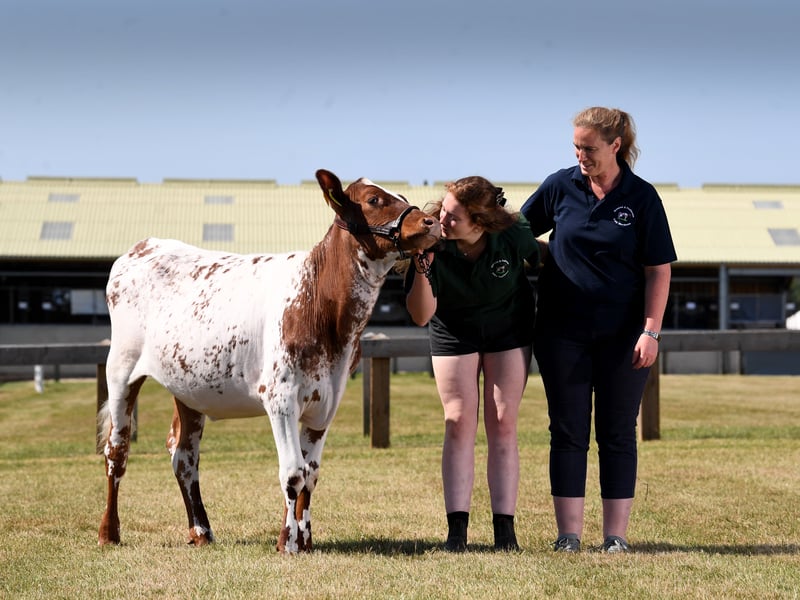 Dairy Young Handler 18-year-old Georgia Bowman and her mum Victoria Bowman with her Dairy Shorthorn called Foggathorpe.