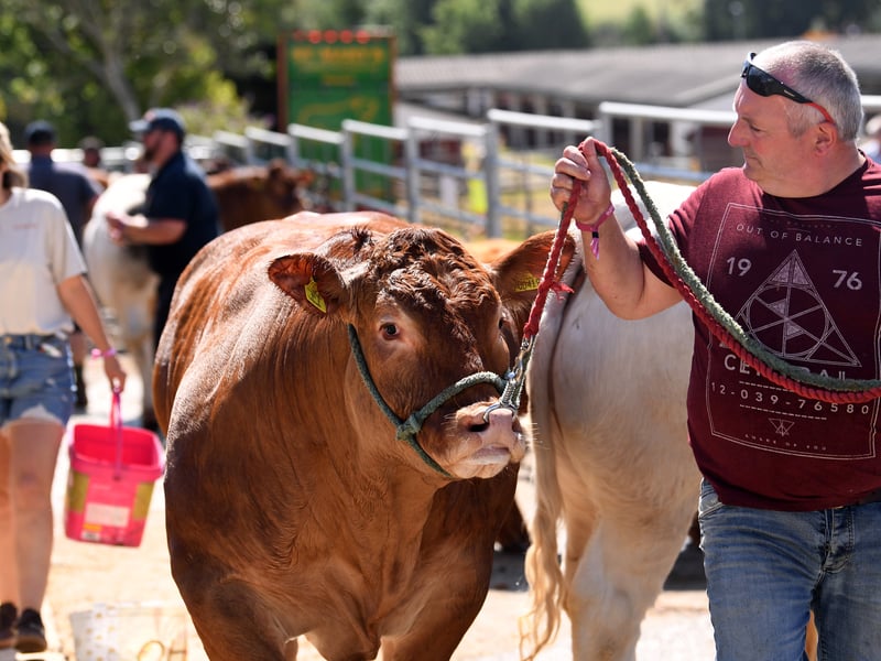 The 167th Great Yorkshire Show will take place from July 14 – 17.