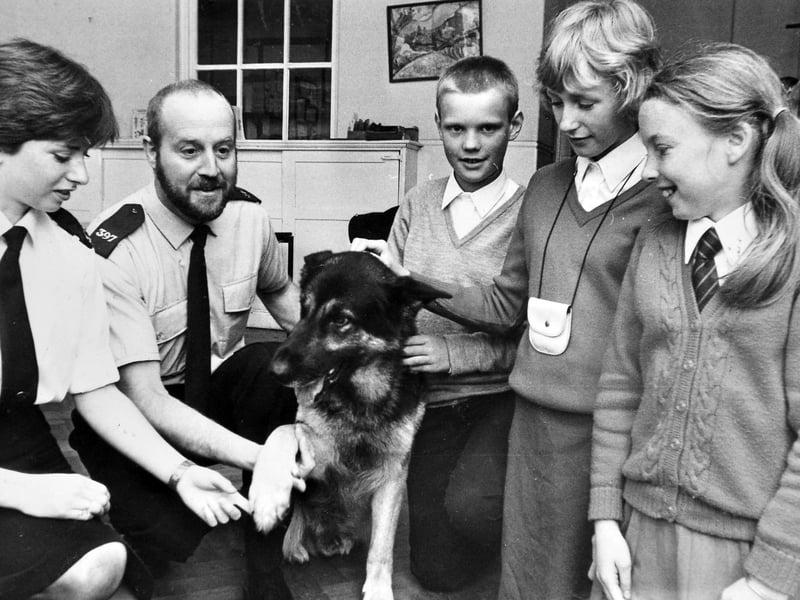 Making friends with the police in Market Drayton. Pupils at Lower Grove School meet police officers and police dog Jade during a “get to know you” visit in June 1982. From left are Ian Hawkins, Joane Lockett and Marni Shapiro. Do you remember visits like this during your school days?