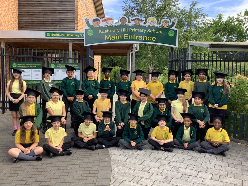 Bushbury Hill Primary School