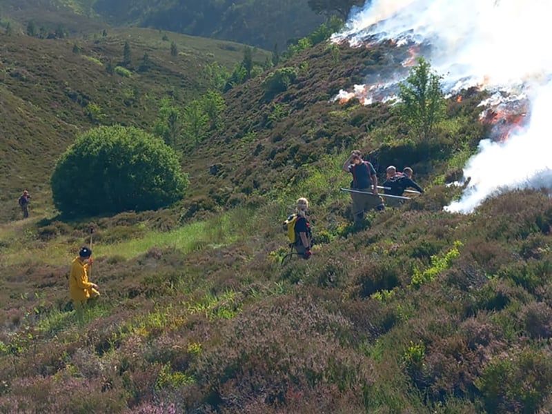 Some locals expressed concerns that tourists were still trying to access the area despite road closures being in place. Photo credit: RSPB Scotland/PA Wire 