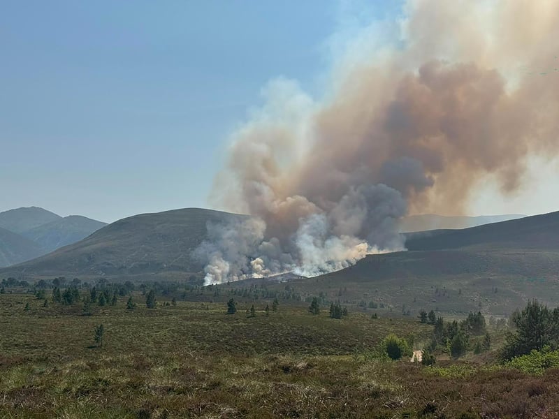 Ian McMeekin, head of prevention at the Scottish Fire and Rescue Service (SFRS), said they expect to be at the scene for the rest of the day.  Photo credit: RSPB Scotland/PA Wire 