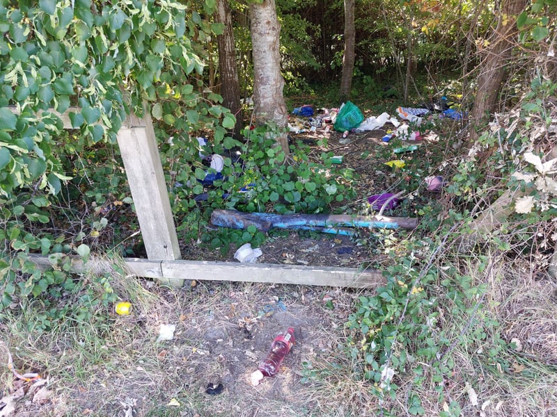 Rubbish at Barton Field, Leigh Park