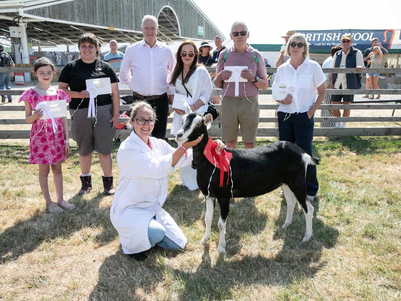 Goats peoples choice award winner.