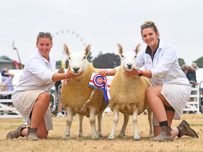 A pair of winners in the best sheep category.