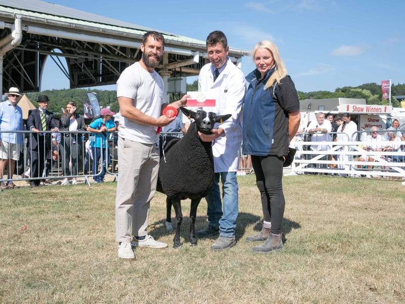 Kelvin Fletcher presents the sheep award.