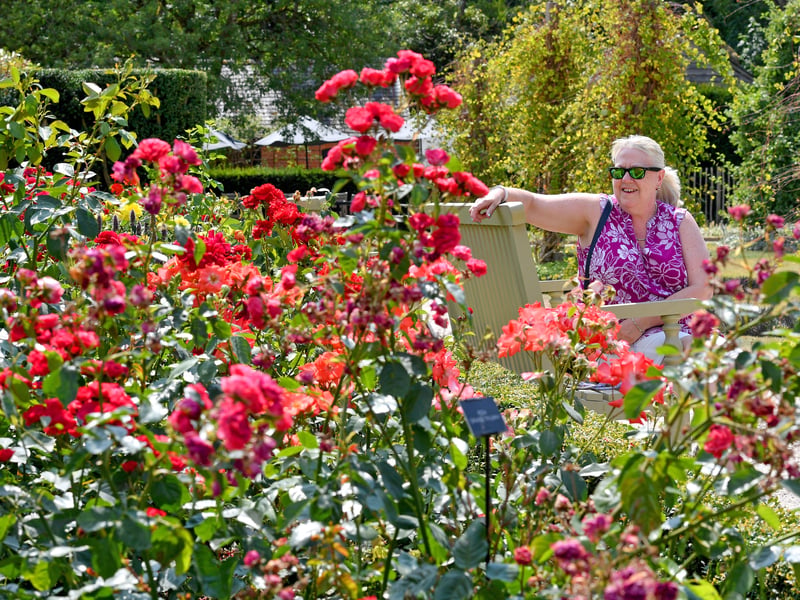 Powis Castle and Garden