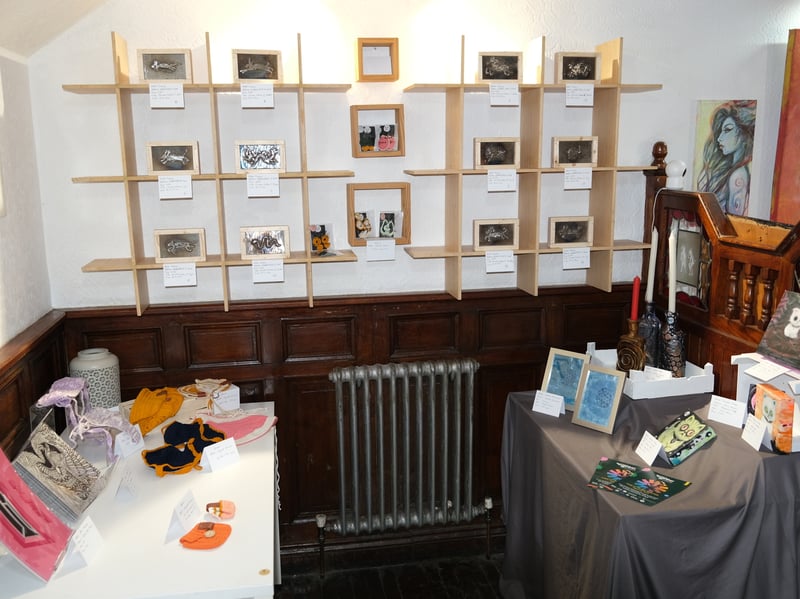 Tipperary Arts Opening