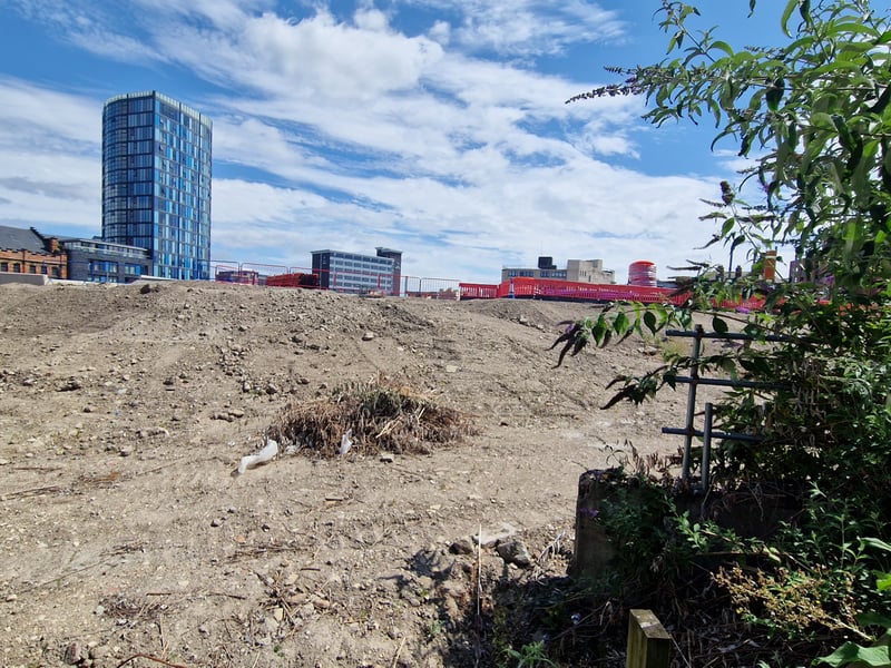 A graded slope seen from Waingate.