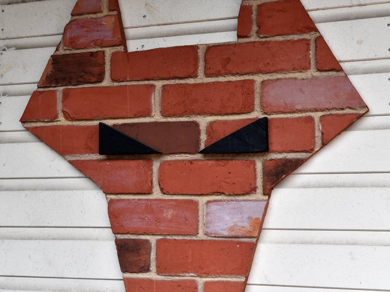 Wolves fan Tina Hibbs from Rugeley, is entering her Wolves themed 'shed' in the Shed of the Year competition.