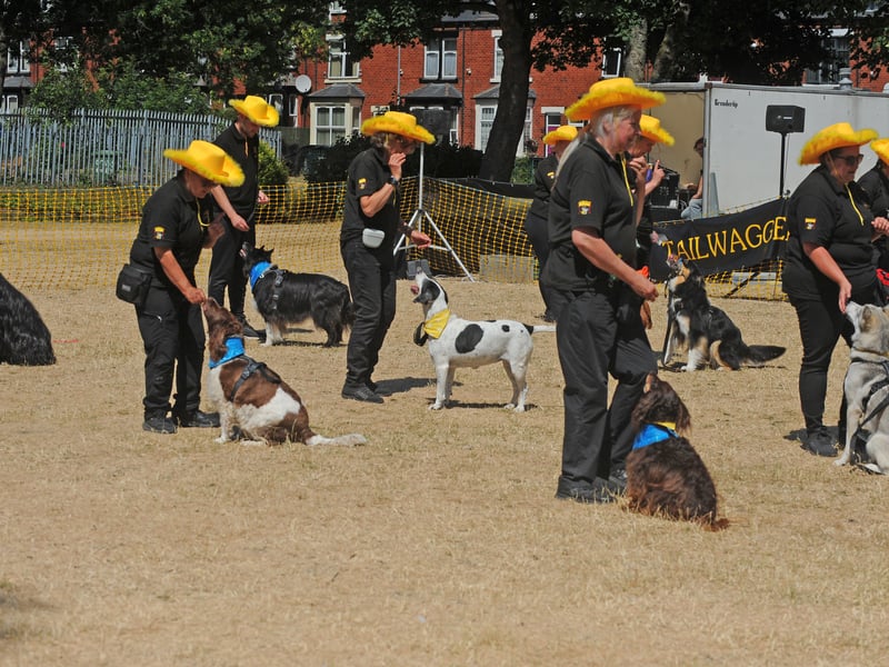 The Tailwaggers Dog Display Team.