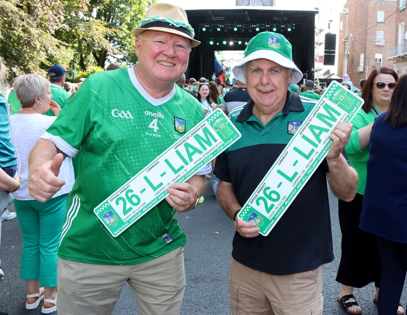 Homecoming for Limerick's All-Ireland hurling heroes