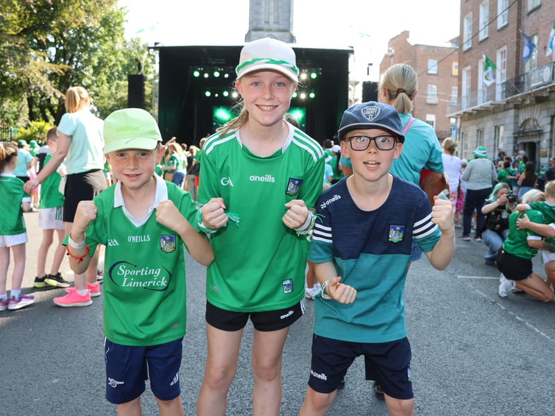 Homecoming for Limerick's All-Ireland hurling heroes