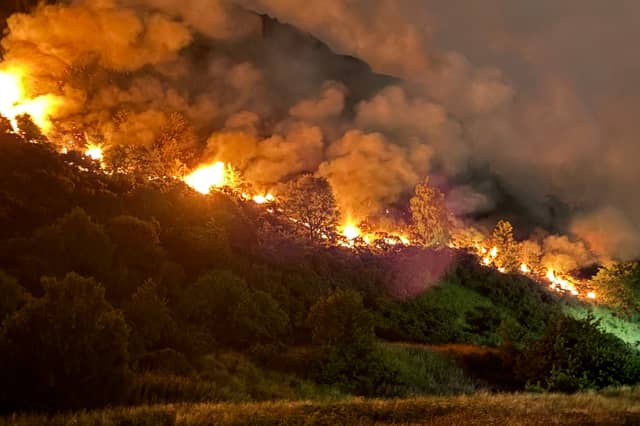 Initially contained to two spots, the fire spread in both directions overnight