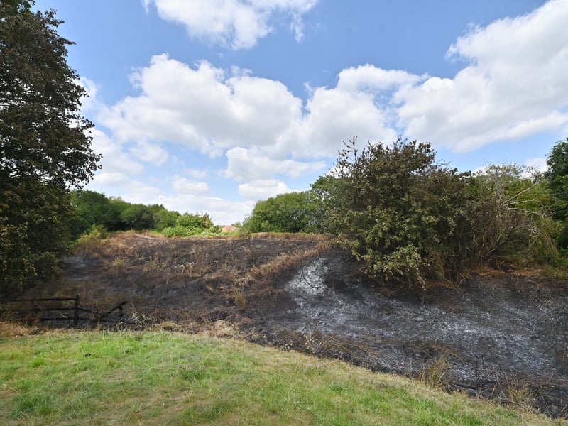 Netherton Park, and the scene of a grass fire, close to houses, along Spring Road.