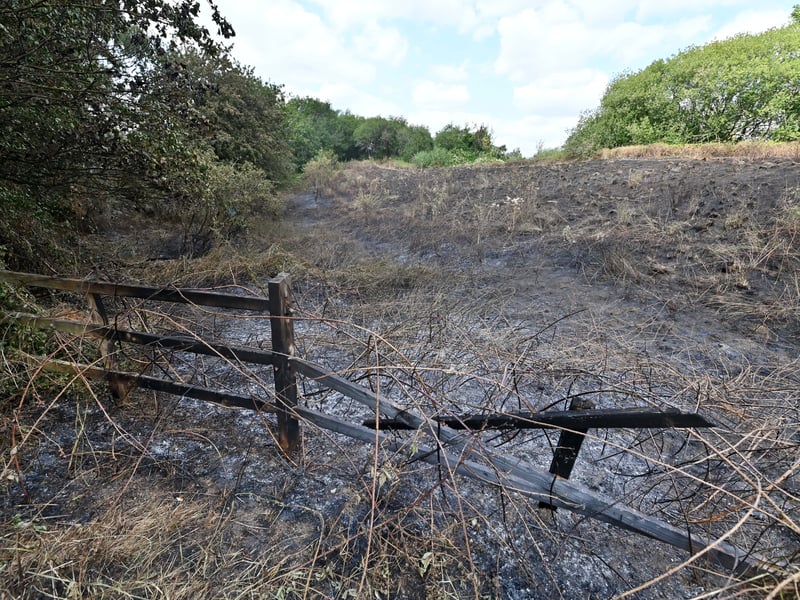 Netherton Park, and the scene of a grass fire, close to houses, along Spring Road.