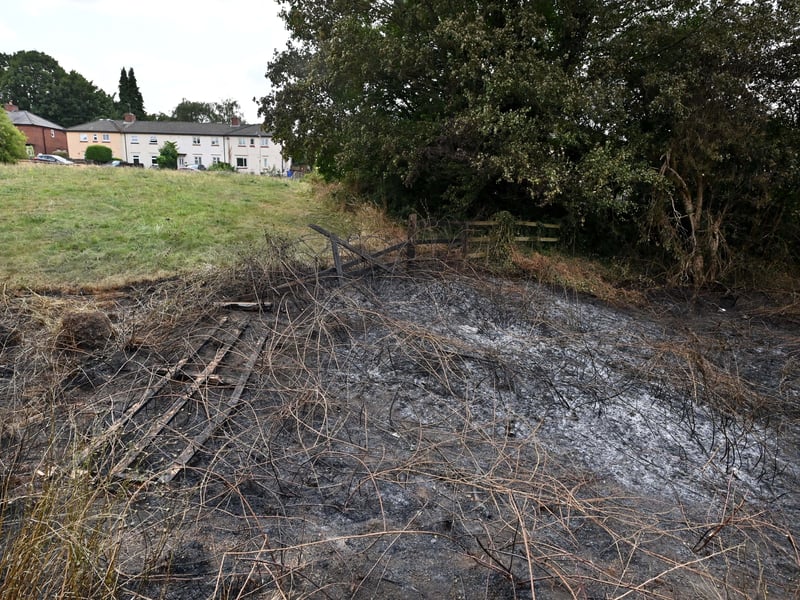 Netherton Park, and the scene of a grass fire, close to houses, along Spring Road.