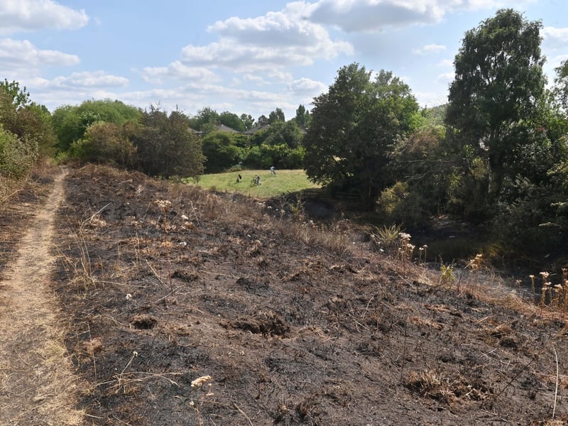 Netherton Park, and the scene of a grass fire, close to houses, along Spring Road.