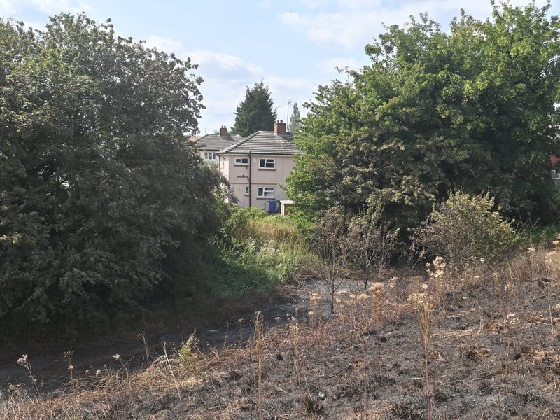 Netherton Park, and the scene of a grass fire, close to houses, along Spring Road.