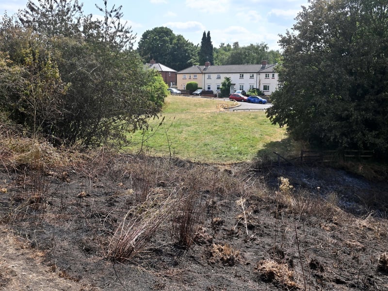 Netherton Park, and the scene of a grass fire, close to houses, along Spring Road.