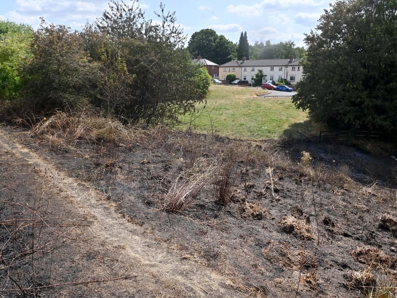 Netherton Park, and the scene of a grass fire, close to houses, along Spring Road.