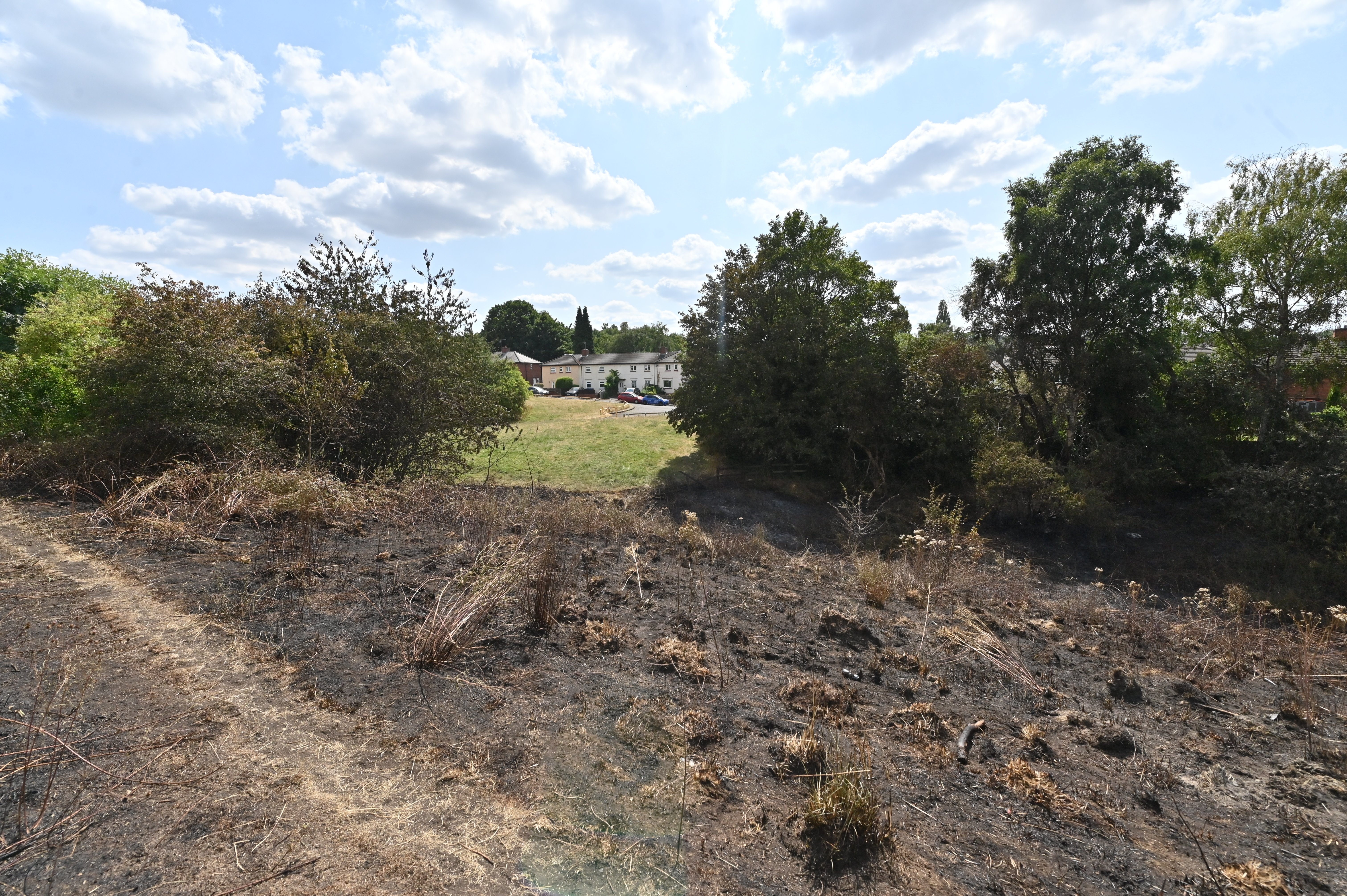 Netherton Park, and the scene of a grass fire, close to houses, along Spring Road.