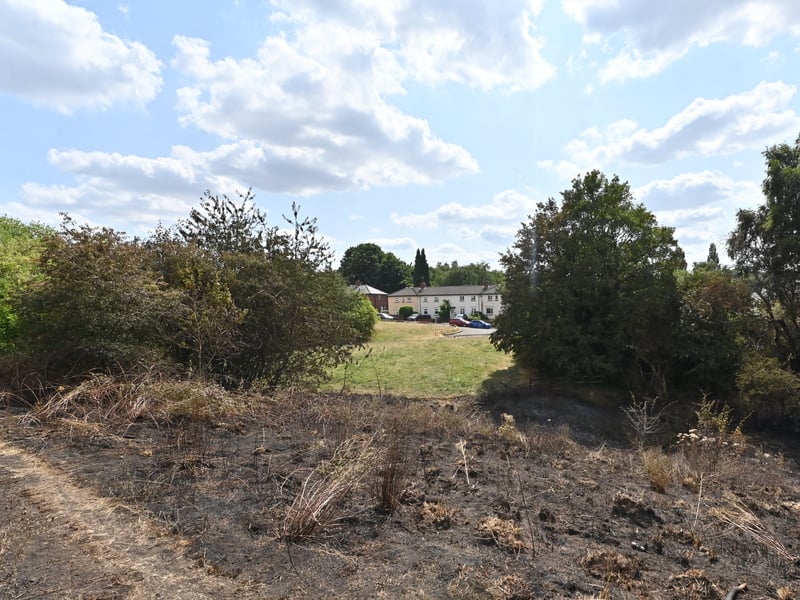 Netherton Park, and the scene of a grass fire, close to houses, along Spring Road.