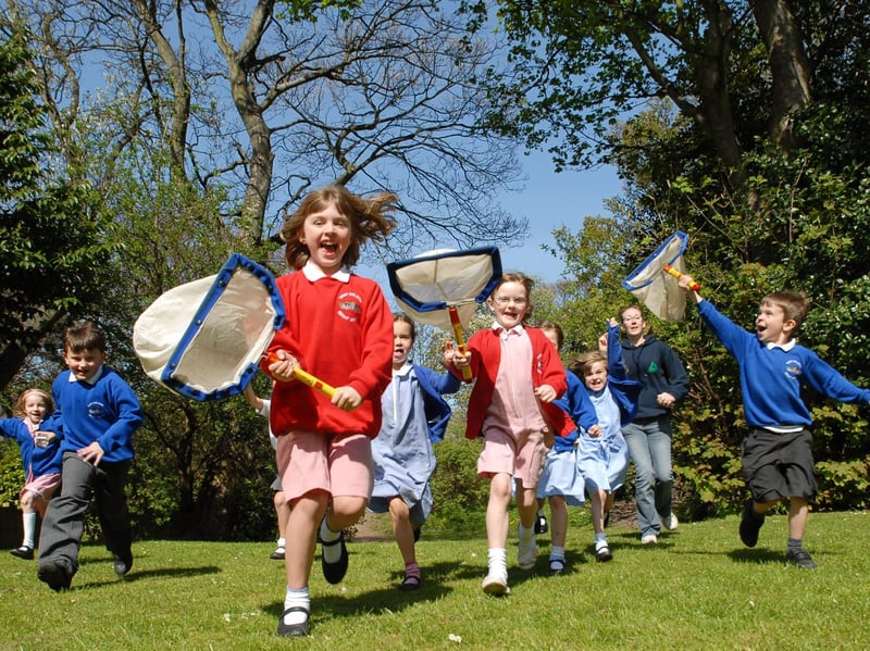 They were hunting for bugs in this great scene from East Boldon Infants in 2009.