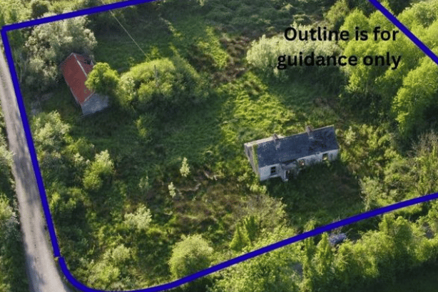 The farm and cottage for sale in Ballymoe