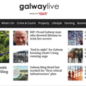 The homepage website of The Connacht Tribune - Galway Live