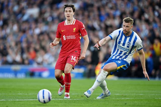 The 31-year-old centre-back is a free agent after spending seven seasons in the English Premier League with Brighton. Vastly experienced, he's played over 130 games in the top flight and still has plenty left in the tank, although he did miss the entirety of last season with an ACL injury. He was previously the club's record signing when they paid Bristol City a fee of £20million for his services.
