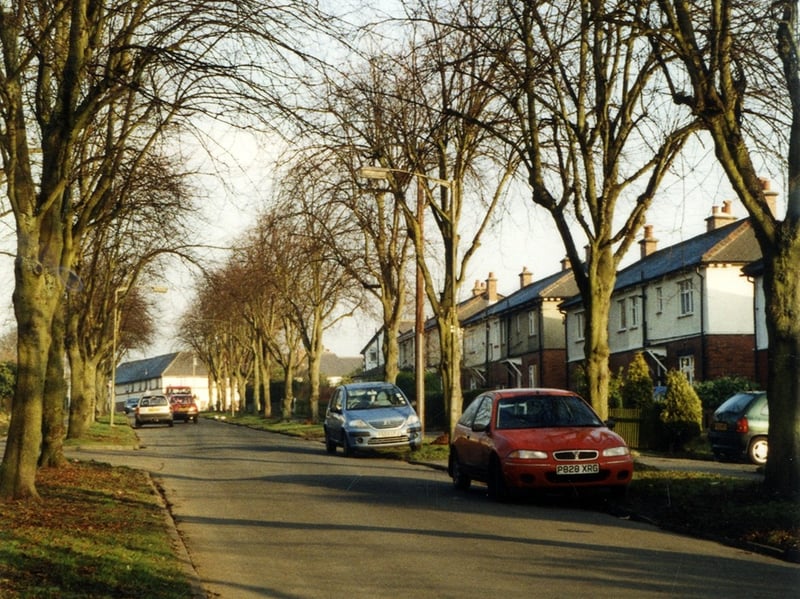 Stanhope Drive showing part of the avenue of trees planted as a memorial to the 211 men and one woman from the town who gave their lives in the First World War.