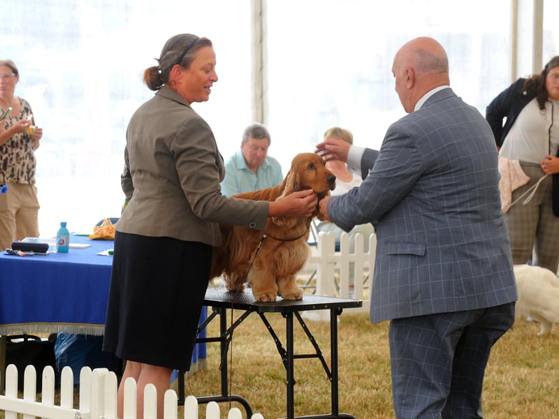 Helen Take of Halifax with her spaniel being judged