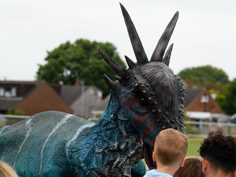 Wanderland Family Festival at Cottam Hall playing fields in Poulton. Photo: Kelvin Lister-Stuttard