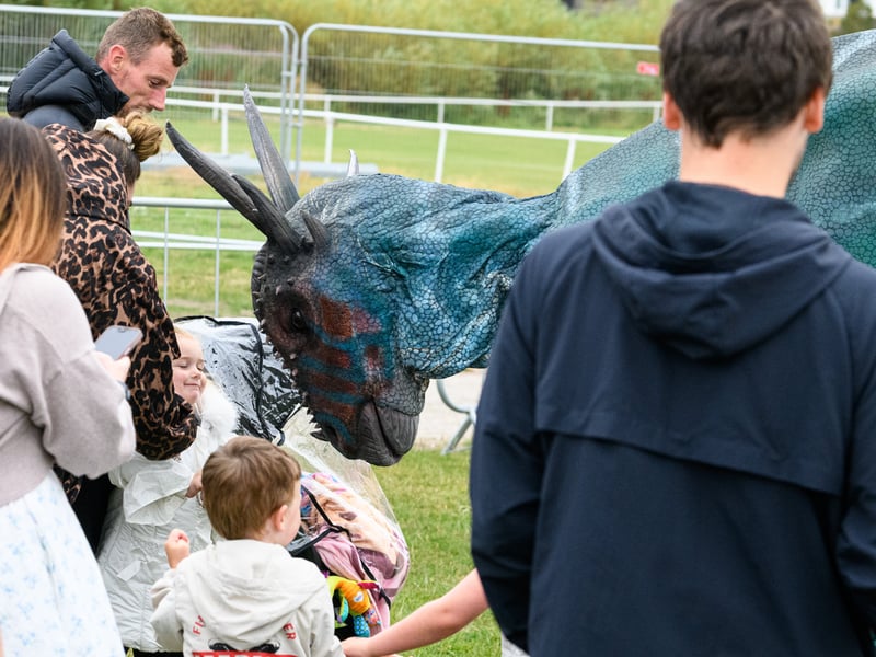 Wanderland Family Festival at Cottam Hall playing fields in Poulton. Photo: Kelvin Lister-Stuttard