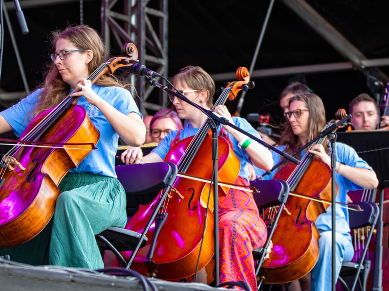 Musicians at the Tramlines festival in Hillsborough Park, Sheffield. Photo: Errol Edwards