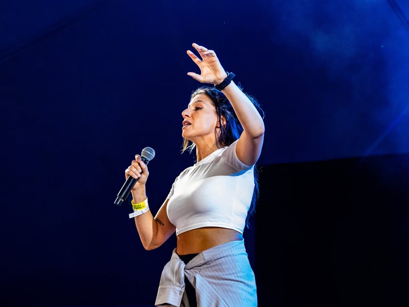 Entertainment at the Tramlines festival in Hillsborough Park, Sheffield. Photo: Errol Edwards