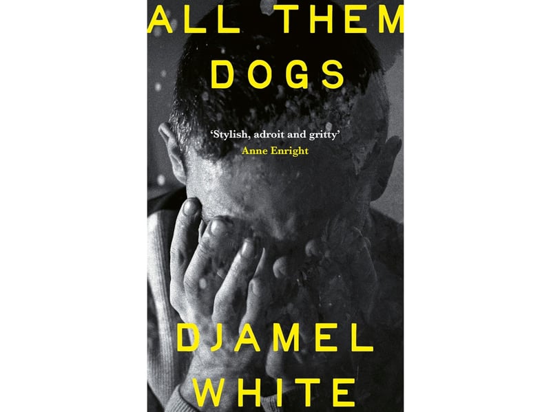 "Things are different since Tony Ward landed back in town. The West Dublin gangland has changed. His old mentor is dead, and his best pal Kenny Boyle is on the straight and narrow. After five years keeping quiet across the way, Tony is keen to reinstate himself, and when the opportunity arises to work side by side with Darren 'Flute' Walsh, a top enforcer of notorious crime boss Aengus Lavelle, it feels like a no brainer. Biting off more than he can chew has never bothered Tony Ward, but Flute Walsh is not the meek, quiet boy Tony remembers from school. Brooding, stoic, and unpredictably dangerous, Tony finds himself drawn to his new associate in more ways than one. With retribution from his past actions always close in the rear view, the protection offered by Flute's standing in the gang is crucial. But how safe is Tony really, when a mutual attraction starts to complicate matters?"