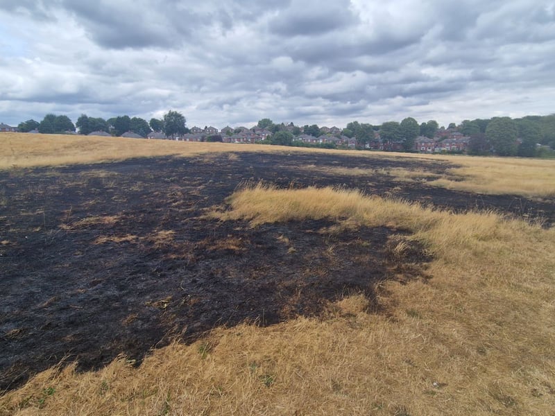 The scorched remains of a grass fire on Sheffield's Longley Park on July 28, 2026. It is the latest blaze to hit a Sheffield green space.