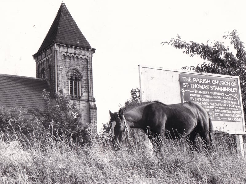 The Parish Church of St Thomas' with a horse grazing in the grounds.
