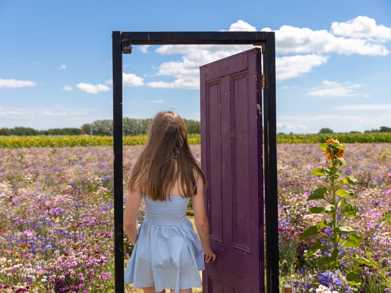 Pictured - Lilly, 13 from Hayling Island at Sam's Sunflowers
Photos by Alex Shute