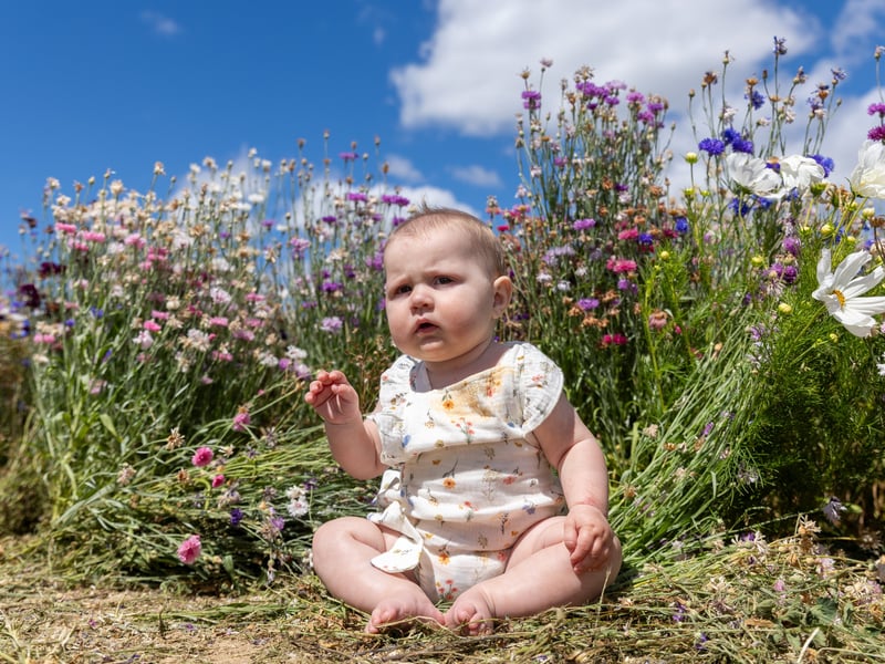 Pictured - Ottilie, 7 months from Warsash at Sam's Sunflowers
Photos by Alex Shute