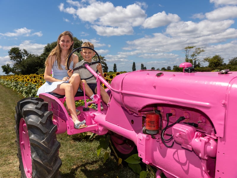 Pictured - Lilly, 13 and Austin, 9 from Hayling Island at Sam's Sunflowers
Photos by Alex Shute