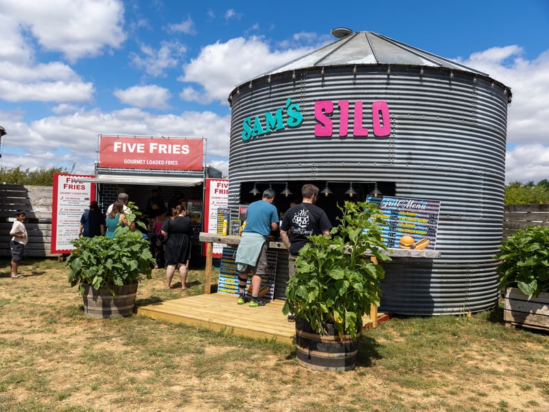 Pictured - Sam's sunflowers on Hayling Island
Photos by Alex Shute