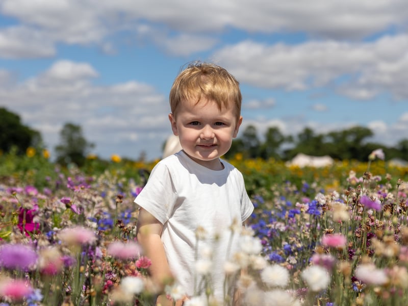 Pictured - Bohdi, 2 from Warsash at Sam's Sunflowers
Photos by Alex Shute