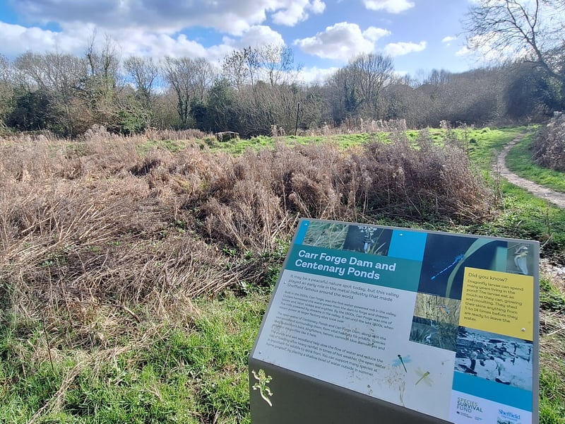 Shire Brook Valley Nature Reserve has earned Sheffield's 19th Green Flag Award, making the city the most awarded in Yorkshire