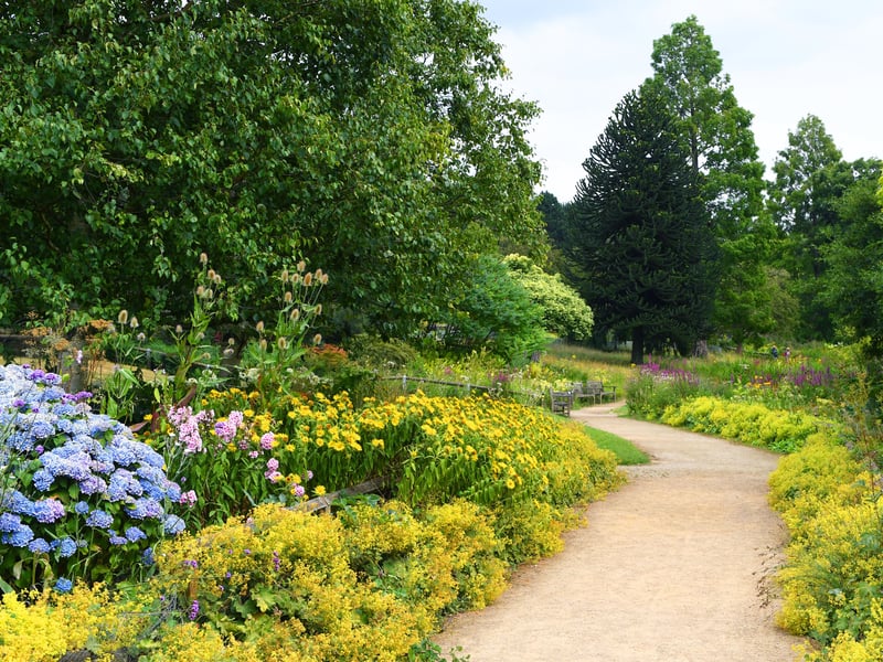 Known for its expansive plant collections and manicured lakeside paths, Golden Acre Park offers 137 acres of peaceful outdoor space in North Leeds. Complete with free entry and parking, it connects seamlessly into the Breary Marsh nature reserve, making it a brilliant spot for wildlife watching, light strolls, and relaxing away from the city centre chaos.