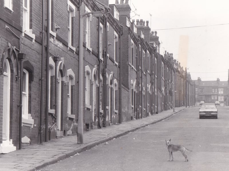 An almost-deserted Christopher Road in August 1978.
